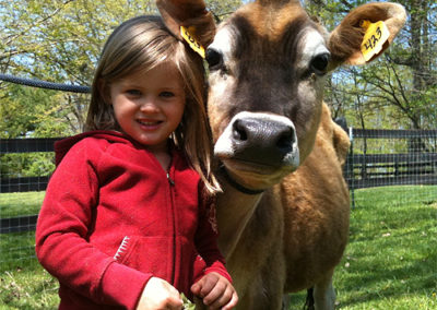 miniature_jersey_cattle_girl_large